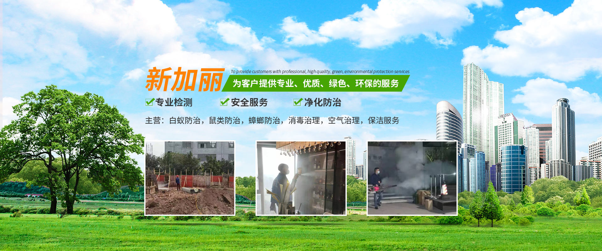 重慶白蟻防治