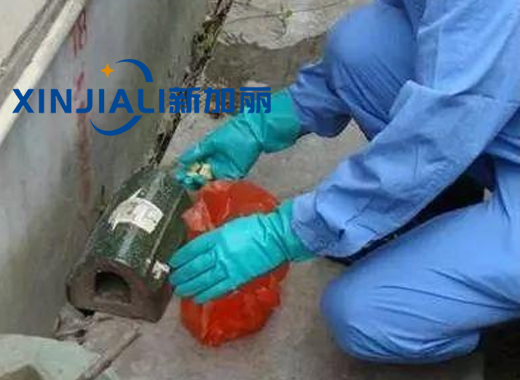辦公室滅鼠