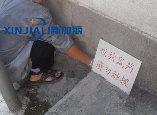 超市滅鼠