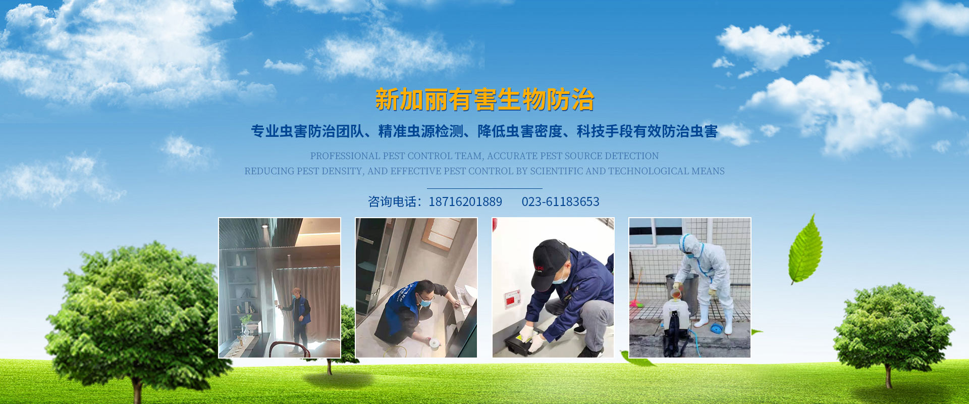 重慶滅老鼠